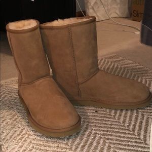 NEVER WORN short Ugg boots!!